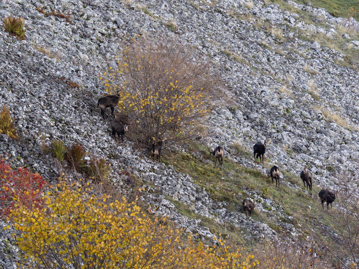 05112025-05 10 25 (6).jpg